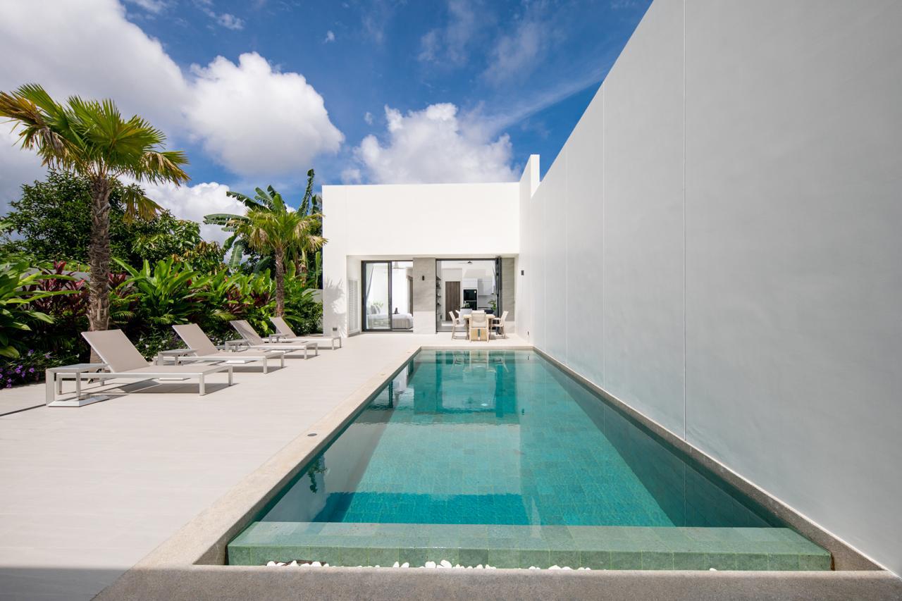 Modern white villa with a long rectangular pool, lounge chairs, and tropical plants under a bright blue sky.