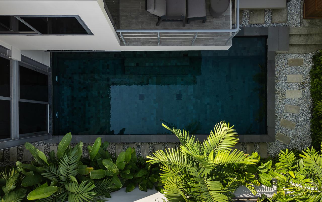 Aerial view of a rectangular swimming pool bordered by a stone path, with tropical plants in the foreground and a white building with a balcony.