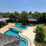 Overhead view of a tropical backyard with a curved blue pool, beige deck, and a thatched gazebo among palm trees.