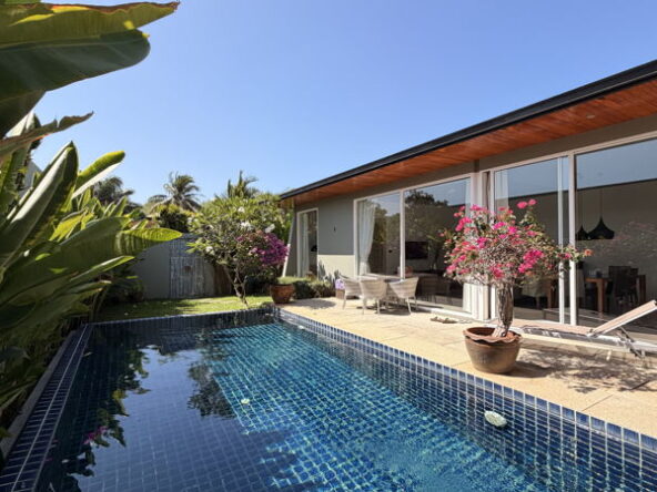 Poolside view of a rectangular blue-tiled pool beside a modern glass-walled house, with potted pink bougainvillea and patio furniture.