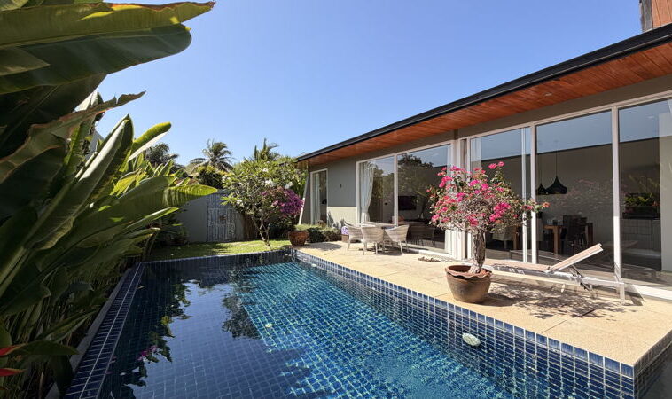 Poolside view of a rectangular blue-tiled pool beside a modern glass-walled house, with potted pink bougainvillea and patio furniture.