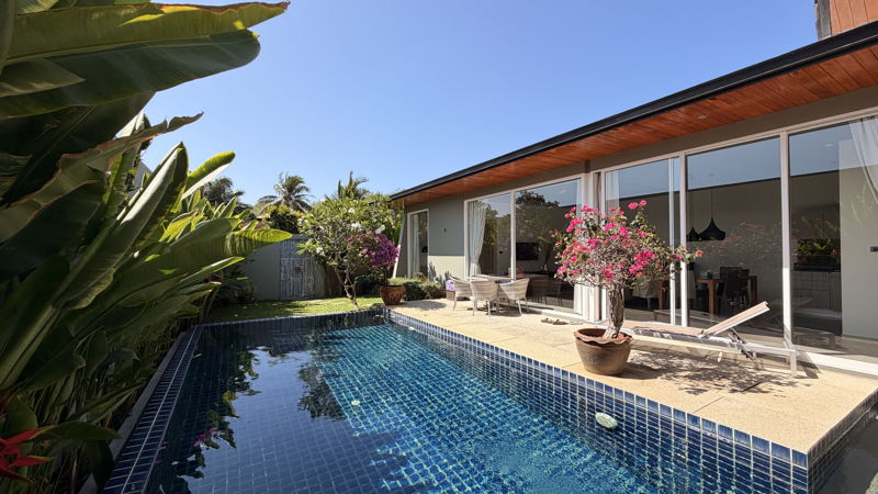 Poolside view of a rectangular blue-tiled pool beside a modern glass-walled house, with potted pink bougainvillea and patio furniture.