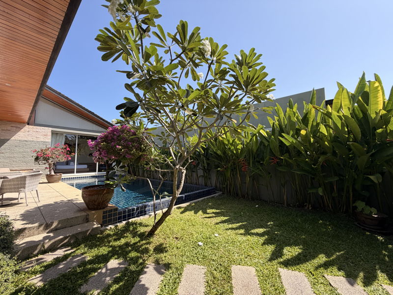 Backyard with a small rectangular pool, stone steps, wicker seating, and a tree casting shade over a grassy lawn beside a modern house.