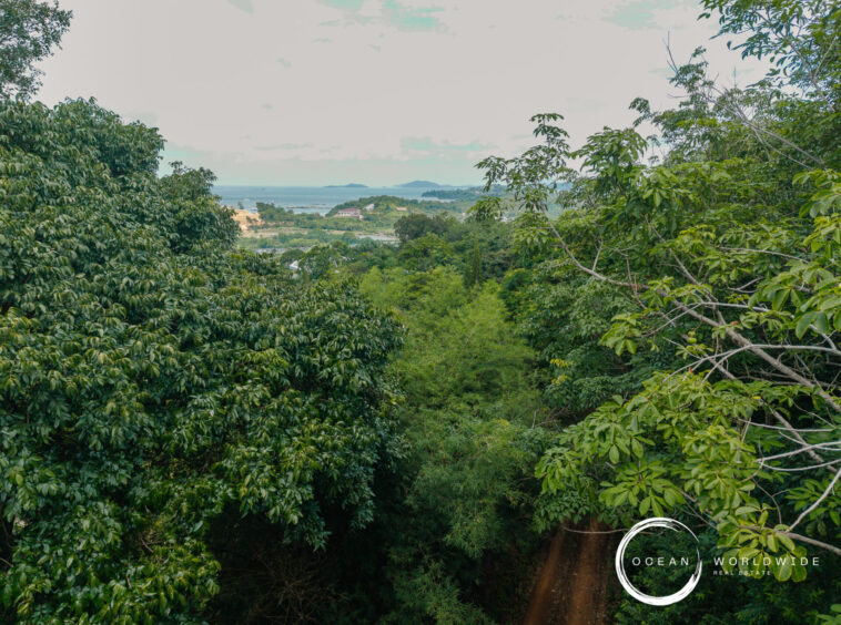 Lush green trees frame a distant coastline and sea with small islands on the horizon, viewed through dense foliage.
