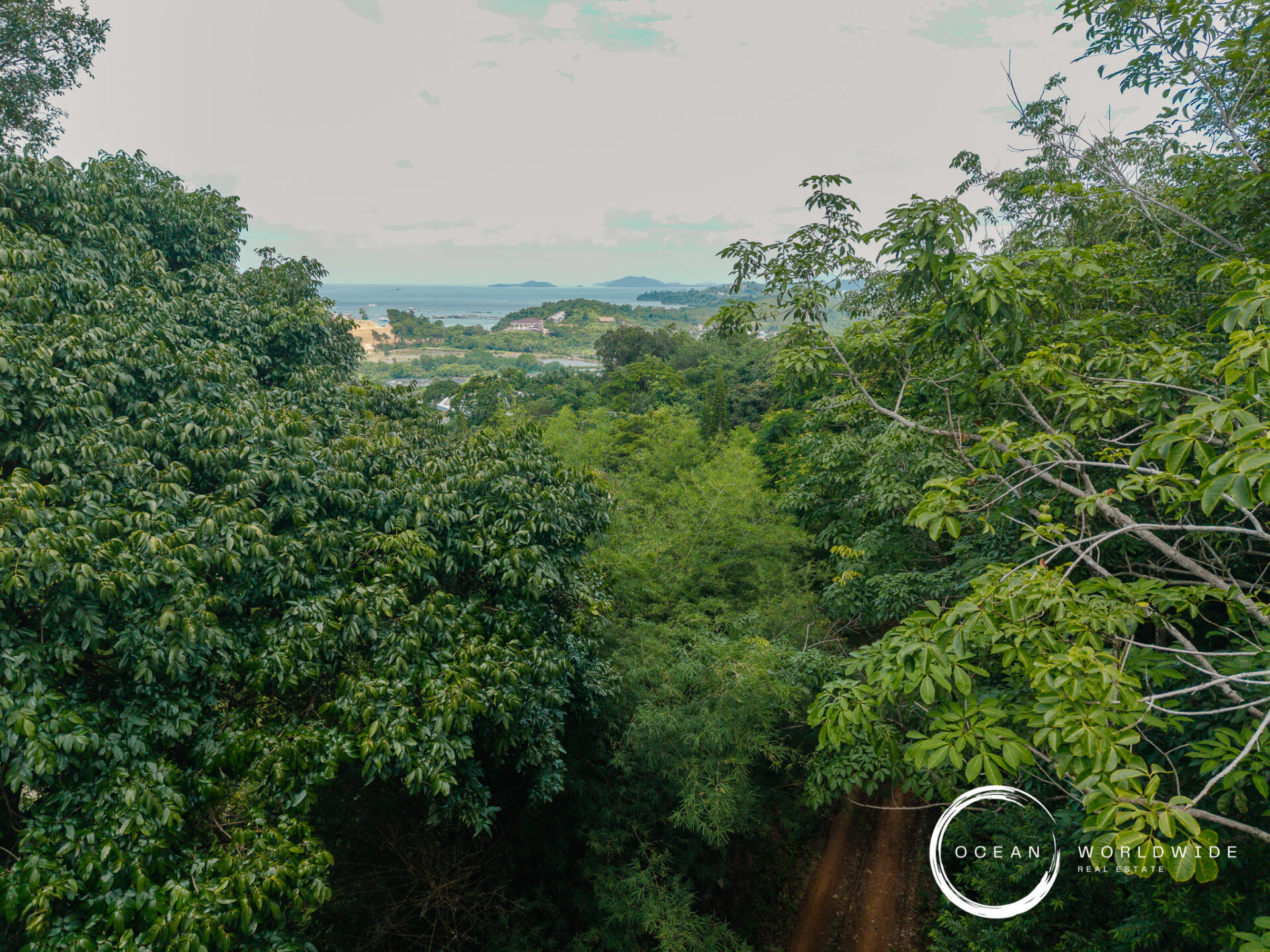 Lush green trees frame a distant coastline and sea with small islands on the horizon, viewed through dense foliage.