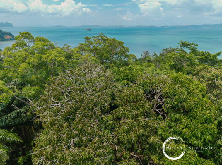 Lush tropical forest with the blue ocean and a distant island on the horizon; watermark 'Ocean Worldwide Realty' bottom-right.