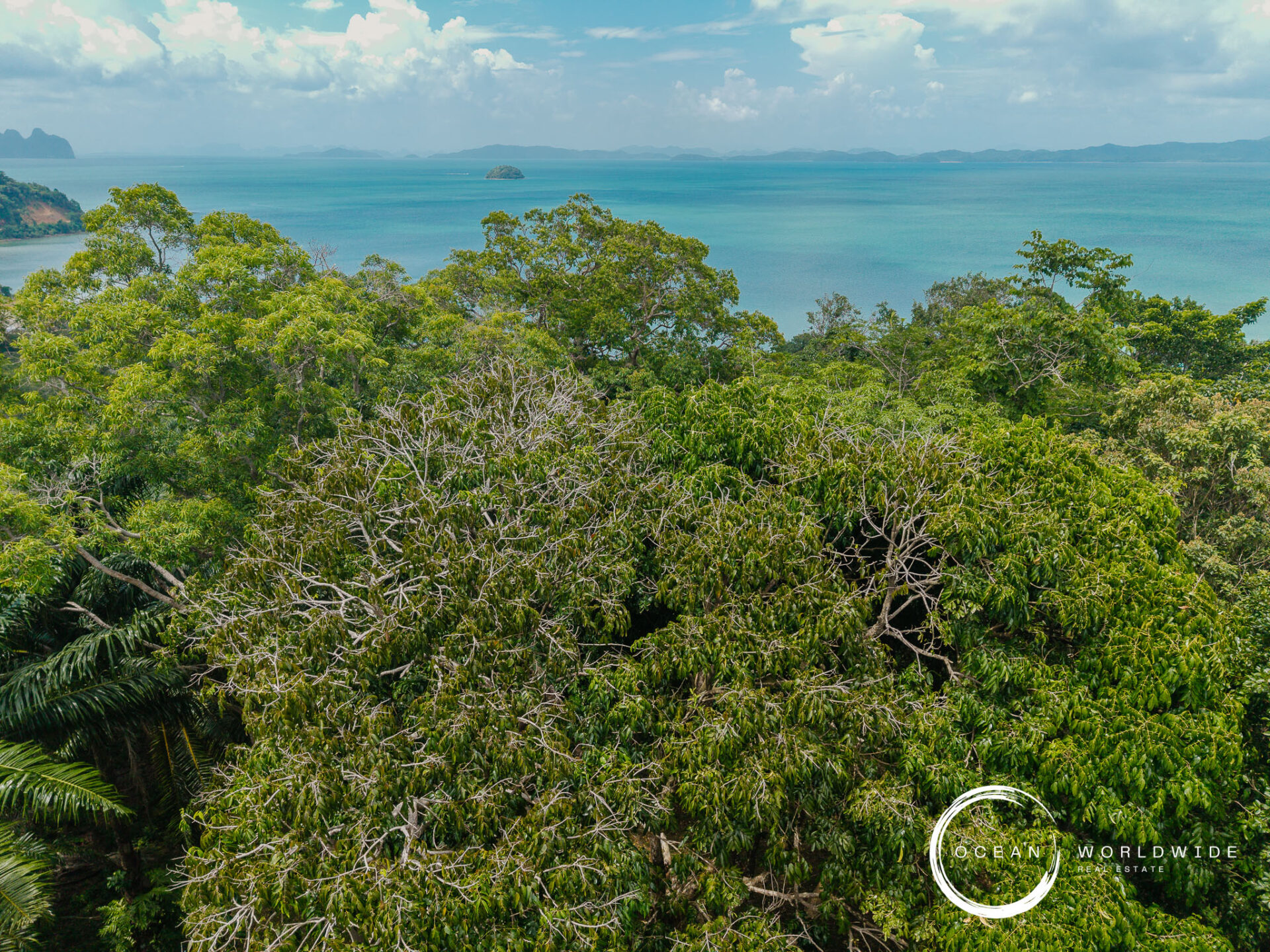 Lush tropical forest with the blue ocean and a distant island on the horizon; watermark 'Ocean Worldwide Realty' bottom-right.