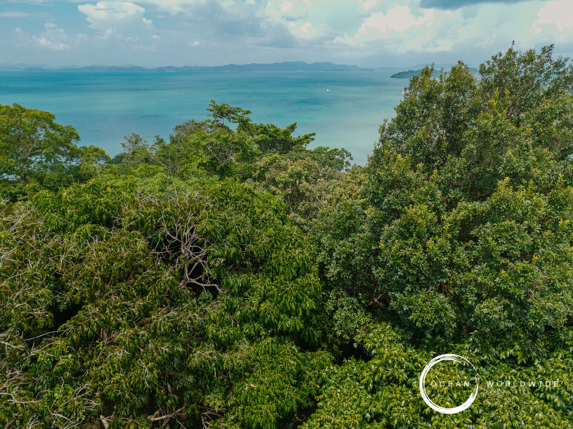 Dense green mangrove foliage in the foreground with a calm turquoise sea and distant island silhouettes on the horizon under a partly cloudy sky.