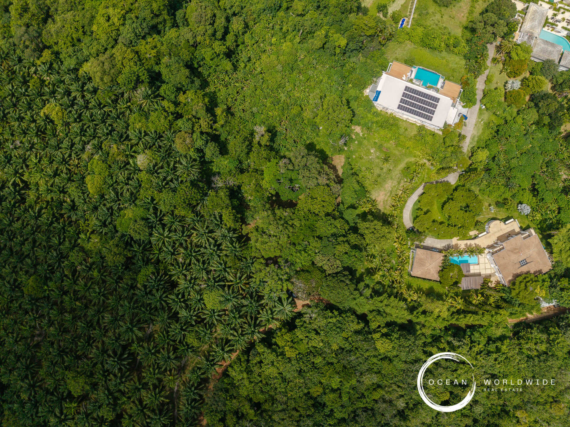 Aerial view of dense tropical forest with a modern house, pool, and manicured lawn on the right; Ocean Worldwide Real Estate watermark bottom-right.