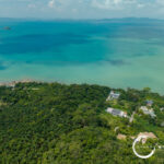 Aerial view of a tropical coastline with dense palm forest, turquoise water, and buildings along the shore, with Ocean Worldwide watermark in the corner.