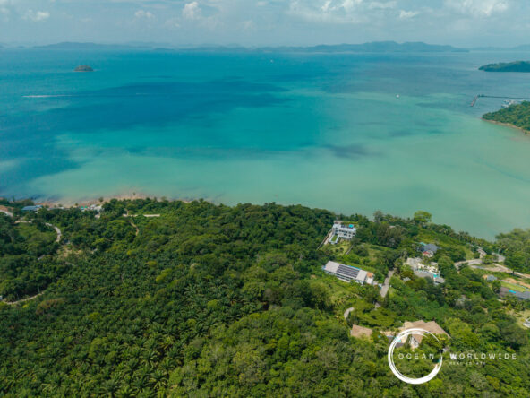 Aerial view of a tropical coastline with dense palm forest, turquoise water, and buildings along the shore, with Ocean Worldwide watermark in the corner.