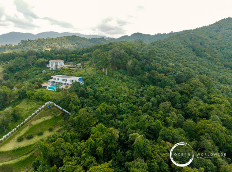 Aerial view of a dense tropical hillside with a few modern houses nestled among trees; Ocean Worldwide Real Estate logo bottom-right.