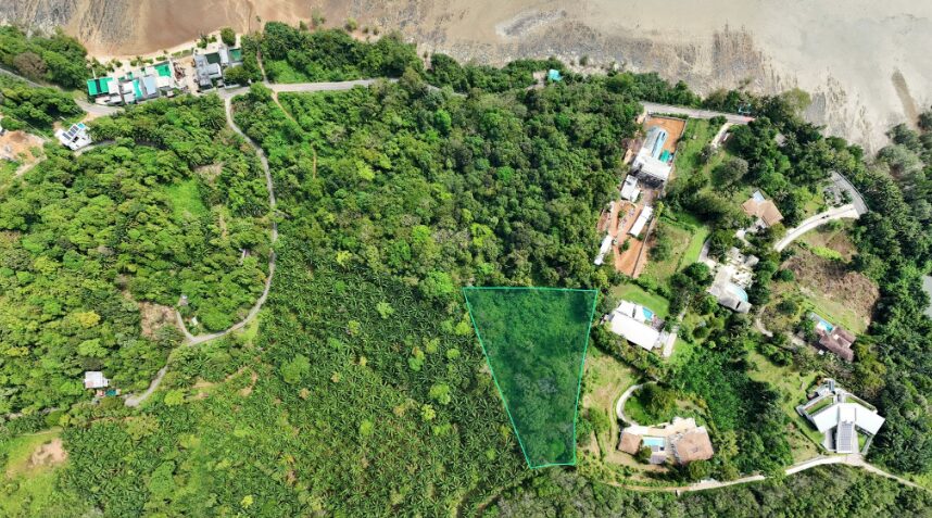 Aerial view of a forested hillside with a triangular land parcel outlined in green among houses and roads.