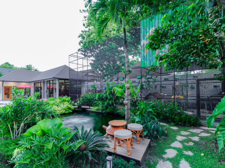 Lush tropical garden with a wooden deck and orange-stemmed stools beside a small pond, with a modern house in the background.