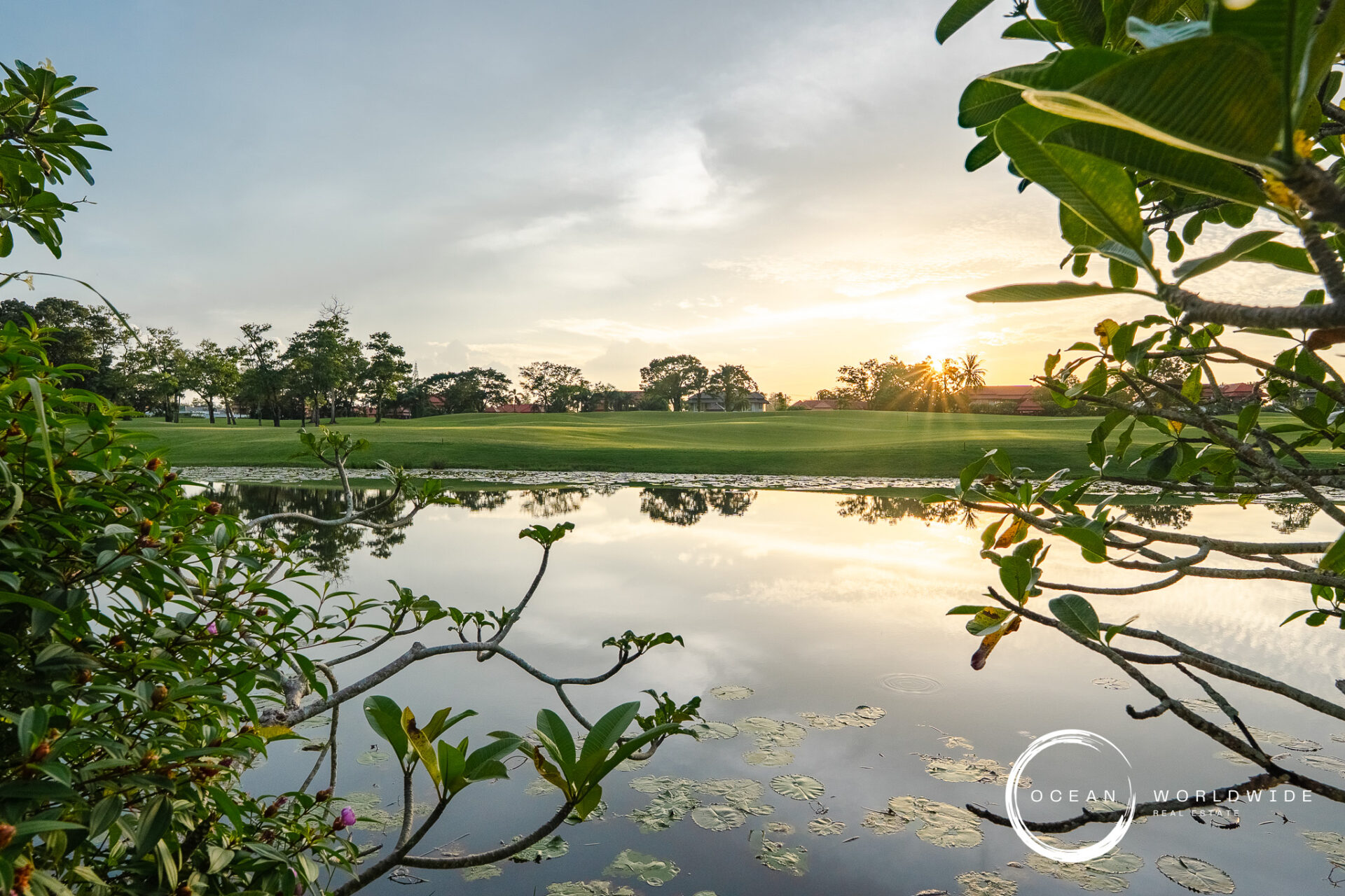 Sunset over a calm lake framed by branches and green foliage, lily pads floating on the water.