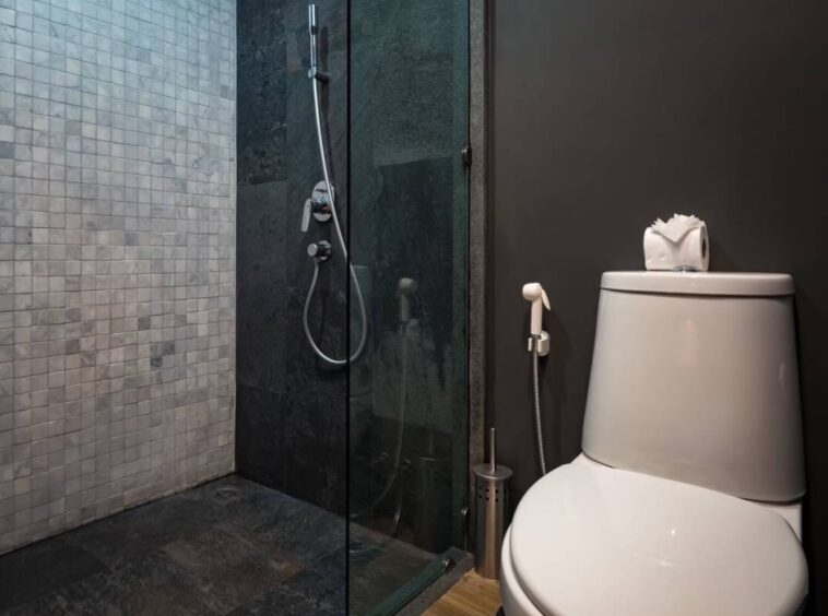Modern bathroom with glass shower enclosure, grey tiled wall, and a white toilet with a roll of toilet paper on top.