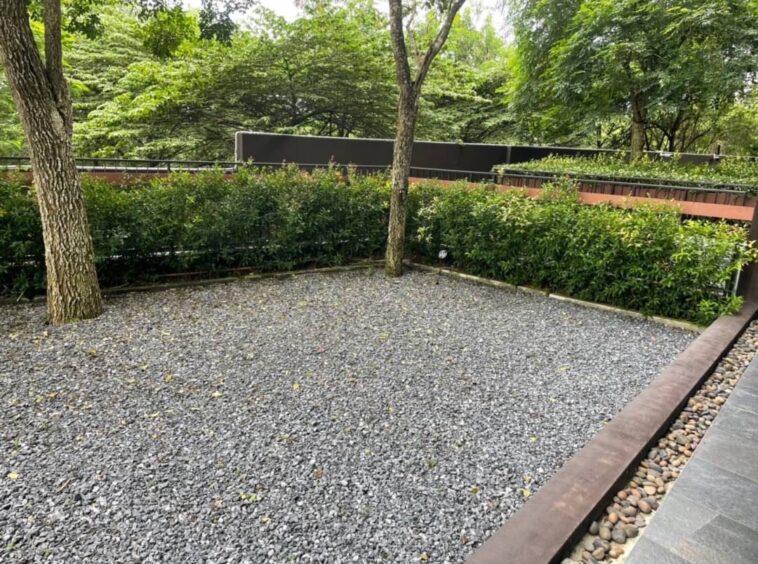 A small gravel courtyard with two trees, green hedges, and a low brick wall behind the plants, bordered by a narrow path of smooth stones on the right.
