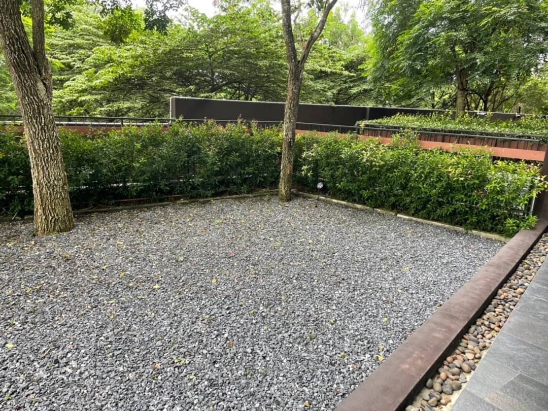 A small gravel courtyard with two trees, green hedges, and a low brick wall behind the plants, bordered by a narrow path of smooth stones on the right.