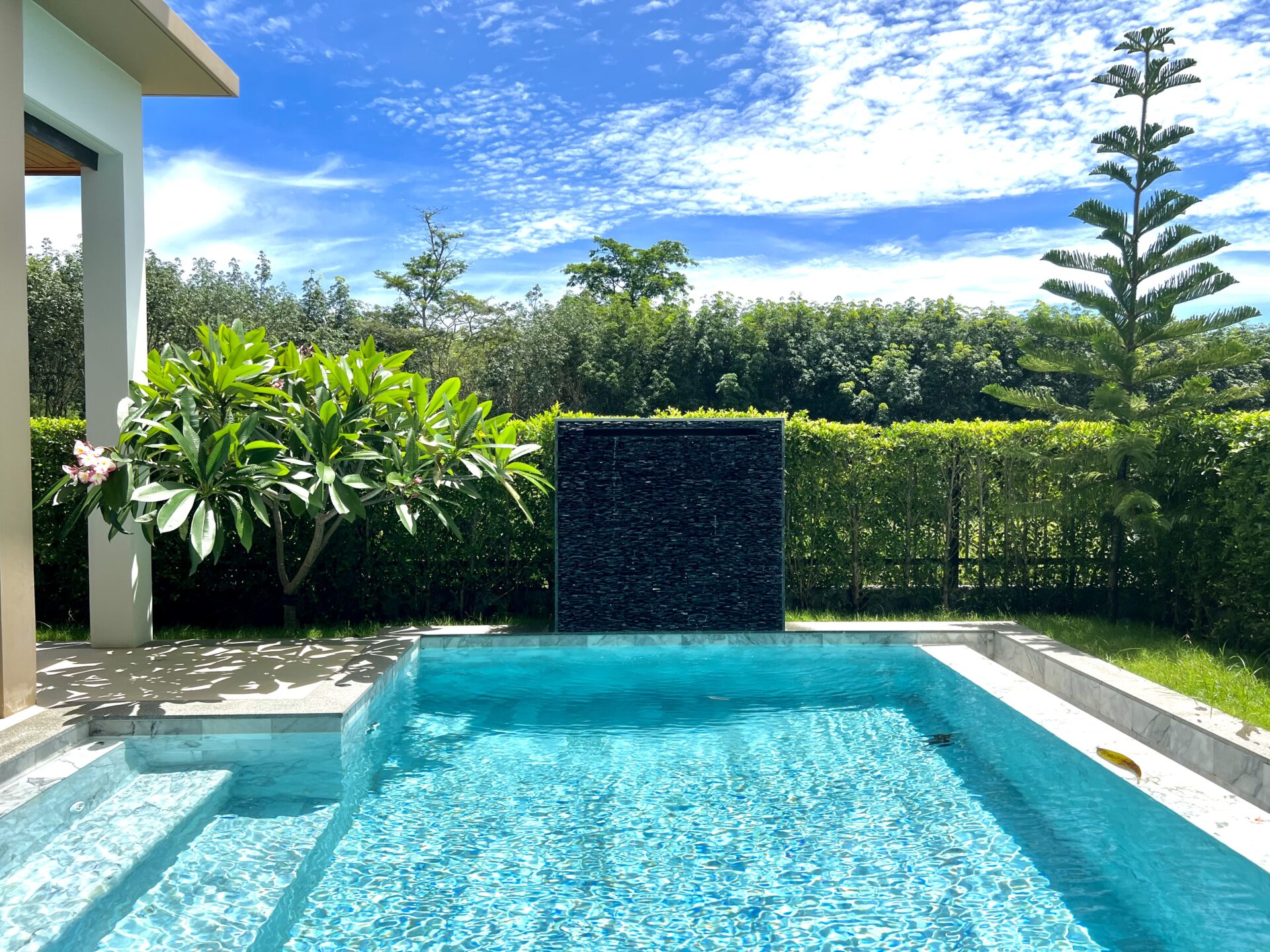 Backyard pool area with clear blue water, light stone edge, and a dark stone water-feature wall; lush green shrubs and a tall tree beyond the hedge under a bright blue sky.