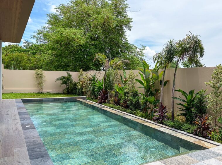 Rectangular swimming pool with stone deck in a landscaped backyard, beige privacy wall and tropical plants along the edge.