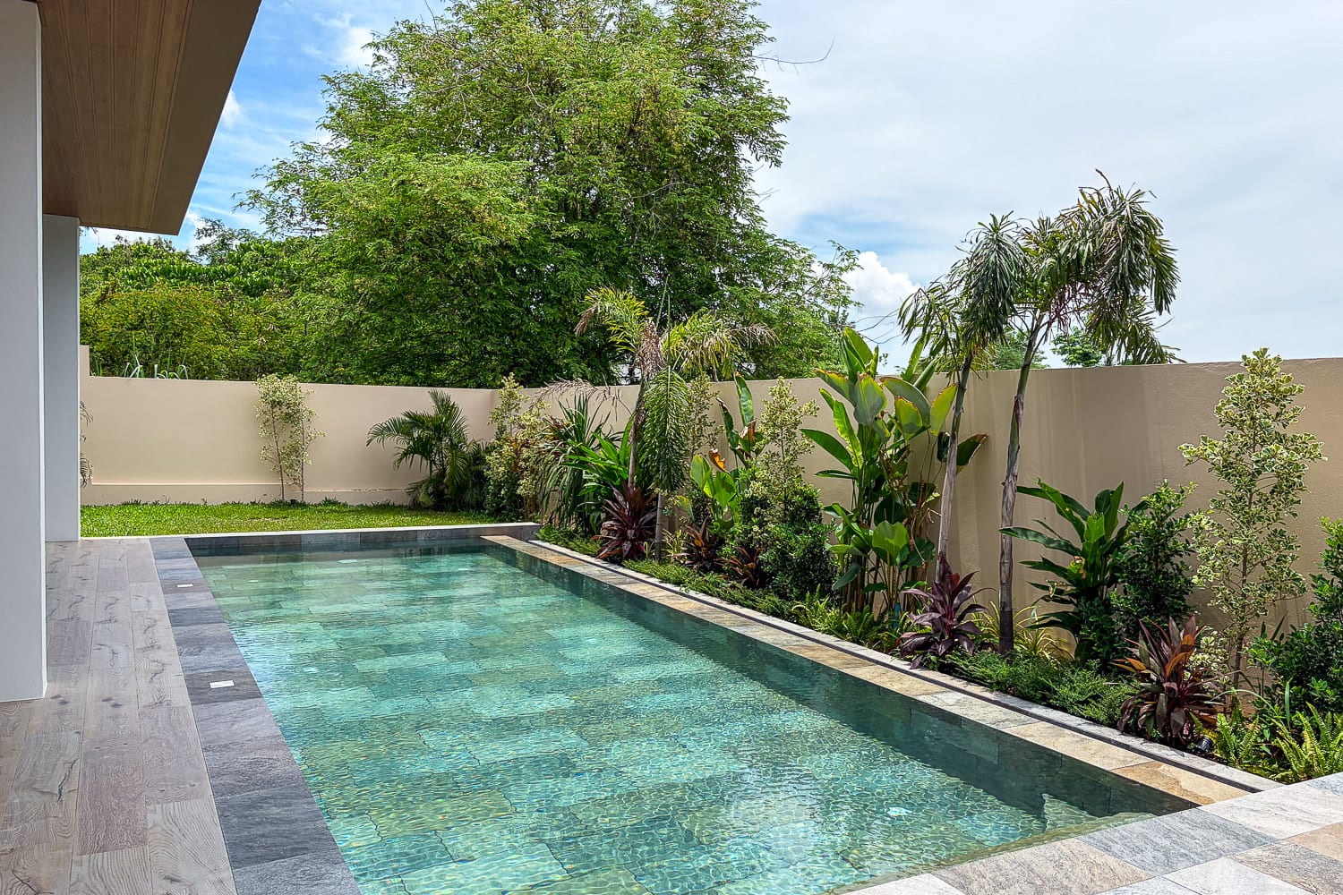 Rectangular swimming pool with stone deck in a landscaped backyard, beige privacy wall and tropical plants along the edge.