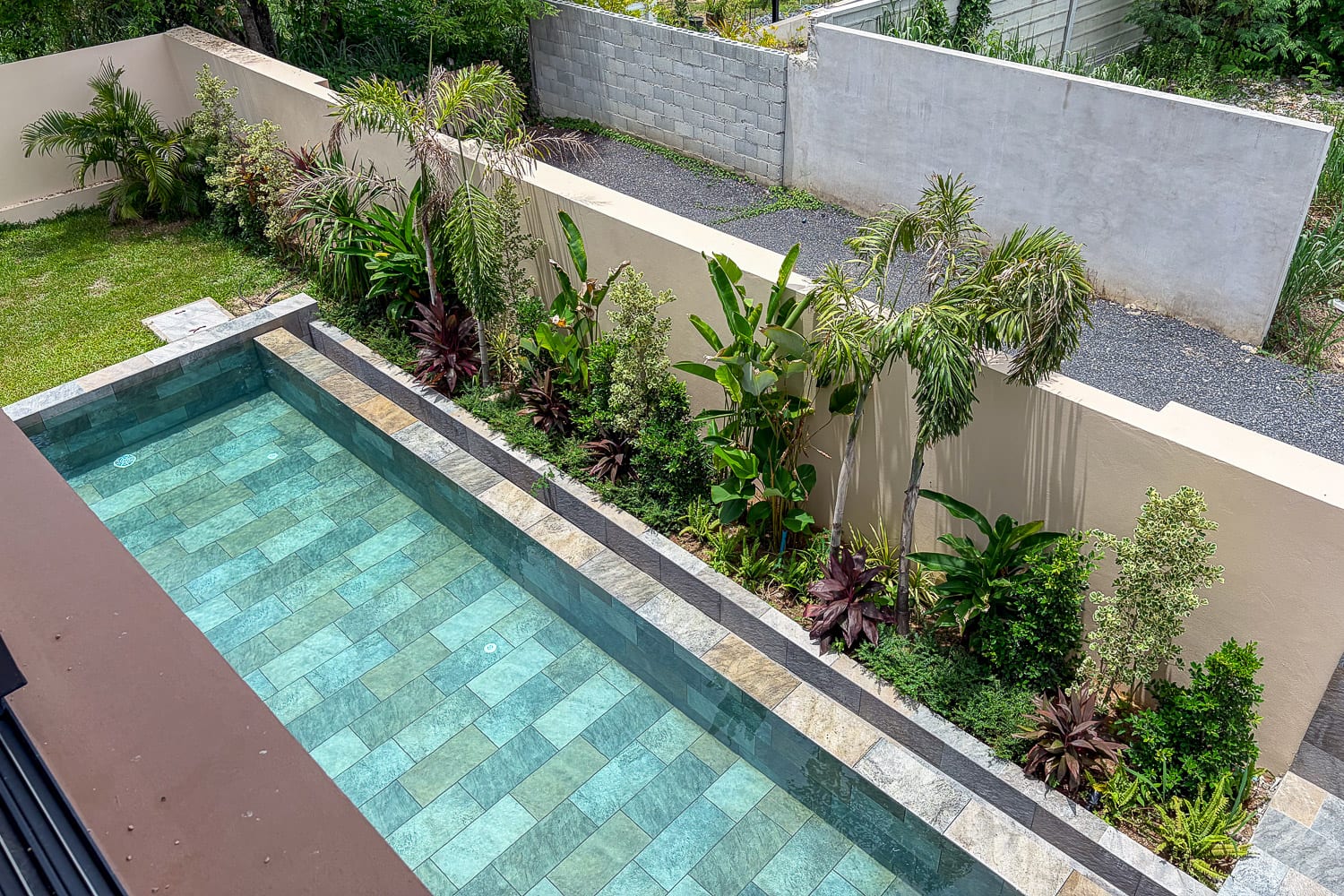 Rectangular turquoise-tiled pool with stone coping, surrounded by tropical plants and a beige privacy wall.