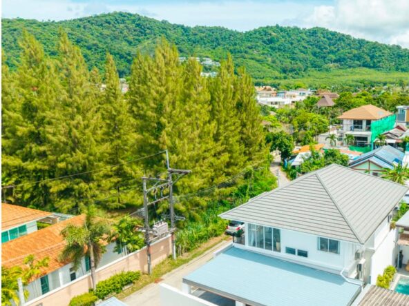 Aerial view of a tropical neighborhood with white houses, gray metal roofs, palm trees, and a green hill in the distance.