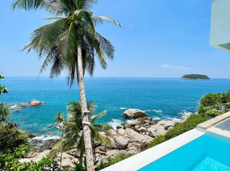 Tropical seaside view with a tall palm tree, blue ocean, rocky shore, and a bright blue pool in the foreground.