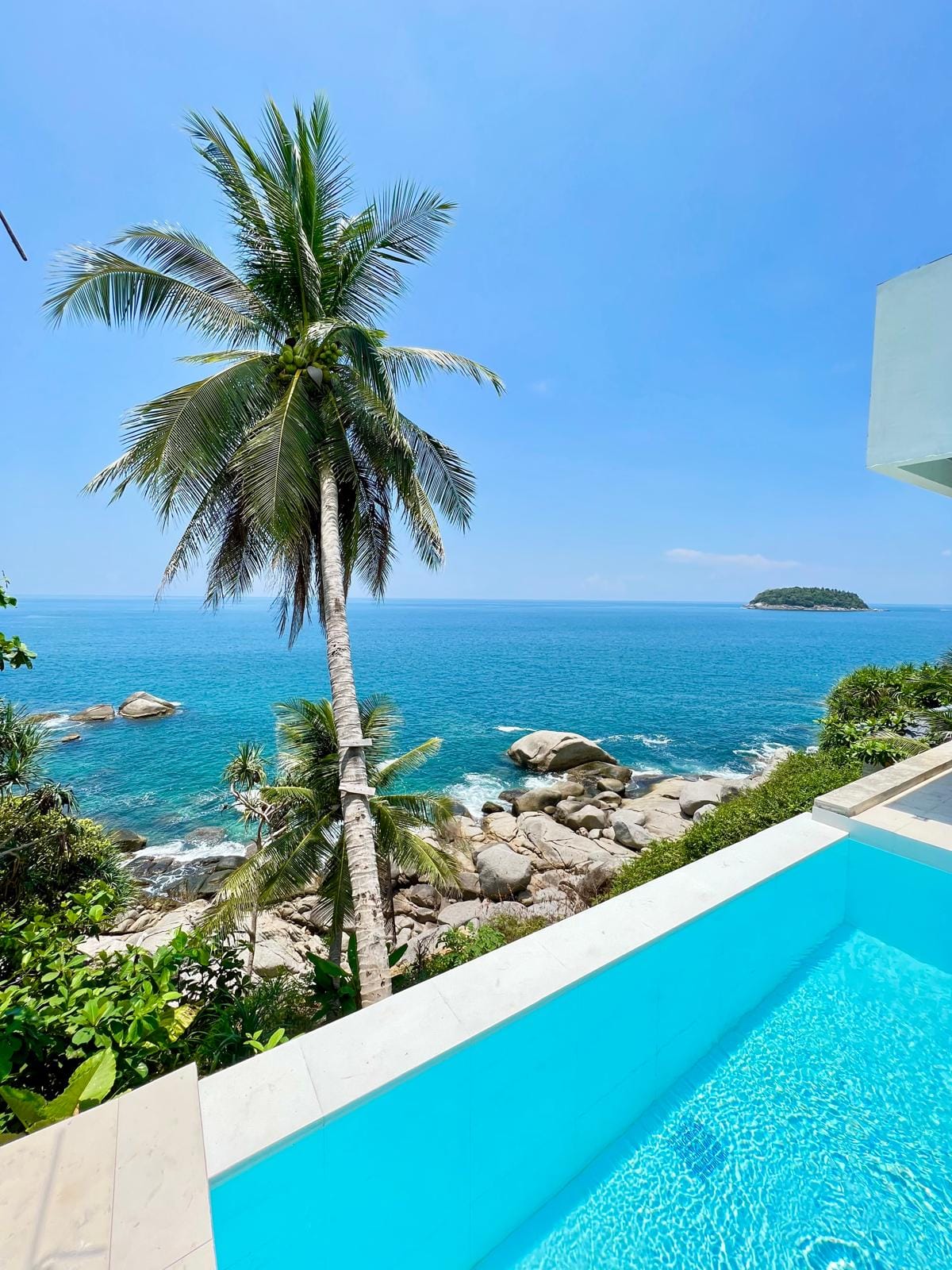Tropical seaside view with a tall palm tree, blue ocean, rocky shore, and a bright blue pool in the foreground.