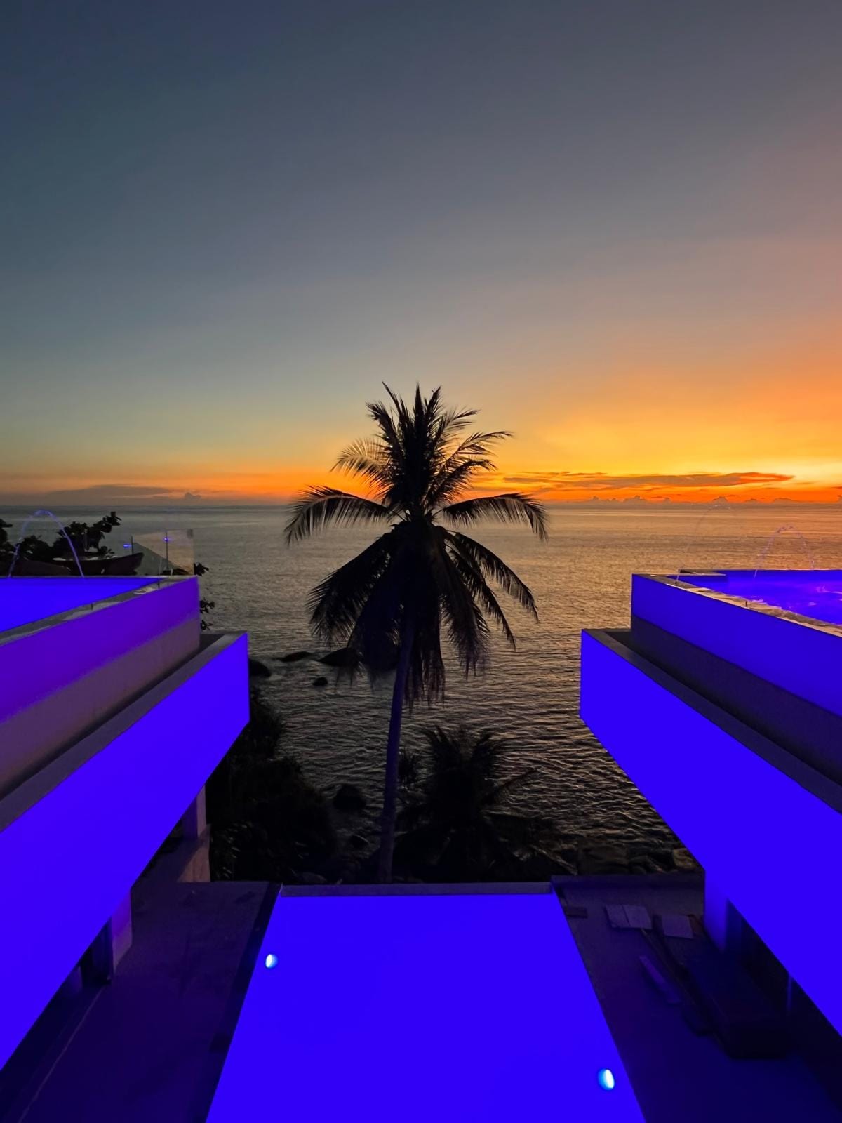 Sunset over the ocean viewed from a terrace with a palm tree in the foreground and blue-lit pool edges.